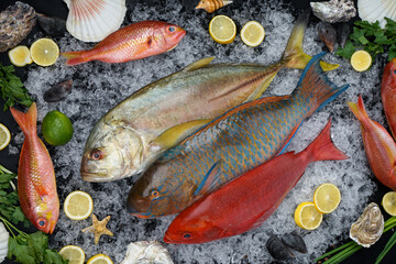 fresh exotic fish on ice on a dark background
