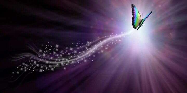 Letting go and moving into the light, concept of life and death with a butterfly representing the departure of a soul