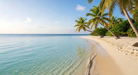 Obraz premium Tropical beach paradise with palm trees and turquoise water vacation scenery