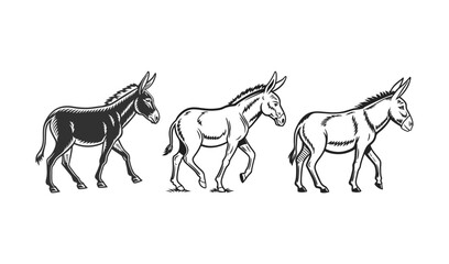 Fototapeta premium Three donkeys in a row showing different styles of illustration