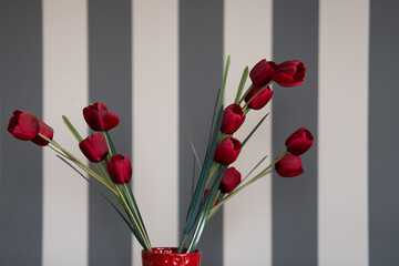 red tulips in a vase