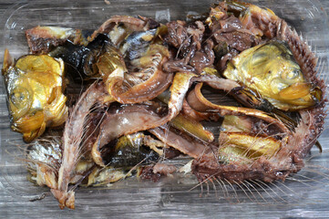 the waste, remains and remnants of Smoked salty Herring forage fish, salt-cured and smoked, also...