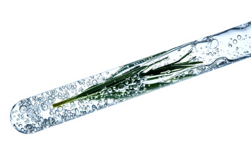 The texture of the serum with bubbles and rosemary in a test tube.