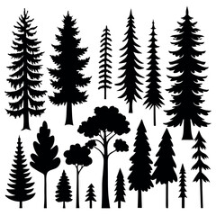 Obraz premium Silhouettes of evergreen trees in a forest&nbsp;setting