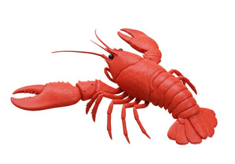 Isolated Red Lobster with Claws Seafood