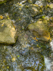 In a tranquil natural setting, a clear stream flows gently over smooth stones, showcasing the...