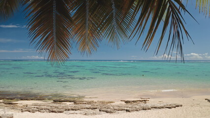 Palm trees framing a breathtaking view of turquoise lagoon water gently lapping against the sandy shore of a tropical beach in Tahiti, creating a serene and idyllic island paradise