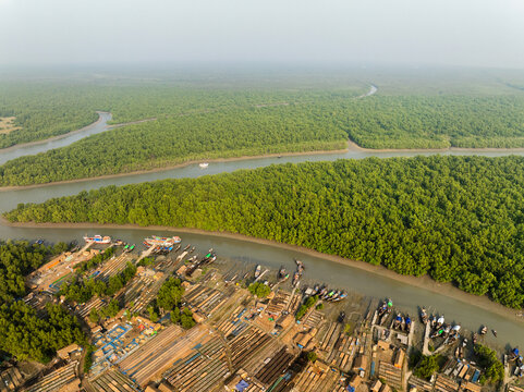 Aerial view of boats docked along the muddy riverbanks, contrasting with the vibrant green forest canopy and winding waterways, Sundarban, Khulna Division, Bangladesh.