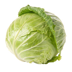 Obraz premium Cabbage isolated on a transparent background 
