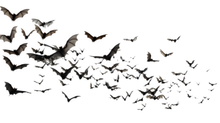 Group of black bats flying on white background