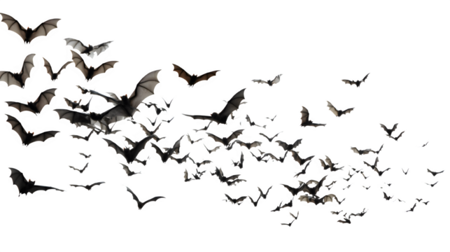 Group of black bats flying on white background