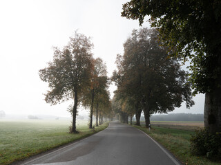 Hazy landscape of a road throu the acres and meadows