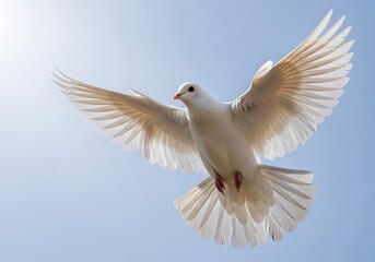 Obraz premium A majestic white dove soaring gracefully through a clear blue sky with its wings spread wide