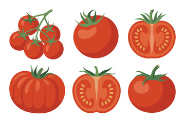 Collection of fresh red tomatoes and tomato halves