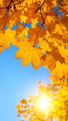 Obraz premium Autumn leaves against a bright blue sky