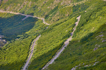 Winding mountain road through forest
