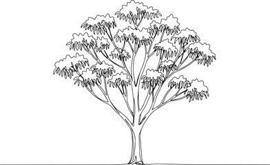 Elegant continuous line drawing showcasing a Eucalyptus tree sil