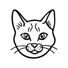 Obraz premium Hand drawn vector illustration cat face portrait. Illustration for icon, logo design, print, greeting card, sticker. Isolated cats face isolated on white background