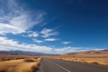 Wide open road stretches through golden fields under bright blue