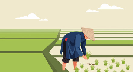 Asian Farmer Planting Rice Seedlings Into Rice Paddy Field Under Cloudy Sky