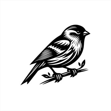 Black and white linocut style illustration of a small bird perched on a branch