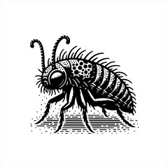Obraz premium Detailed black and white illustration of a spiky insect
