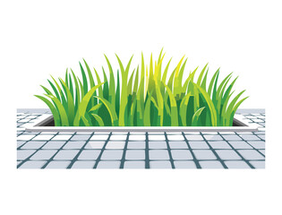 Green Grass Bush Growing on Concrete Tiles