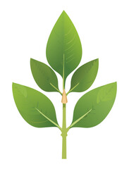 Simple Illustration of a Green Plant Foliage
