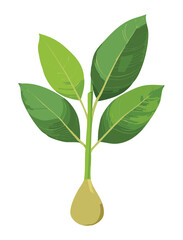 Vibrant Green Plant with Three Large Leaves