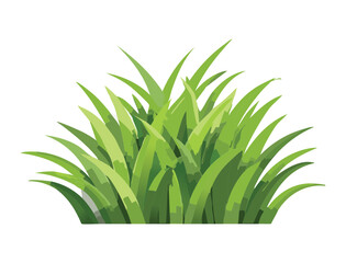 Fresh Green Grass Bush with Pointy Leaves