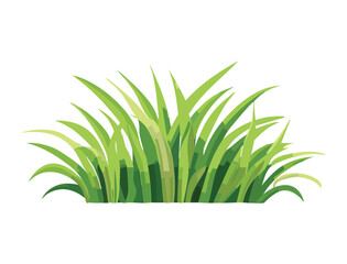 Lush Bush of Green Grass Illustration