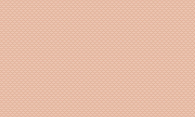 Fototapeta premium Interlocking Chainlink Pattern with Seamless Geometric Grid