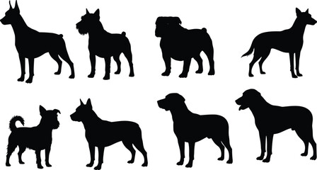 Dog breed silhouette set, pet vector illustration, canine shapes, posture variety, tail, ear, body structure, identification, educational, artwork