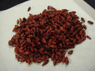 Lycium chinense Mill., Gu-gi-ja used in Korean medicine to support liver health and enhance vision