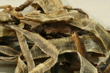 Pheretima aspergillum (Gu-in) is a dried medicinal worm used in traditional Korean medicine to...