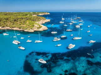 Aerial view of luxury yachts and boats anchored in turquoise sea bay surrounded by rocky coastline and pine forest, summer vacation scene in Mallorca, Balearic Islands, Spain. Top drone view of boats