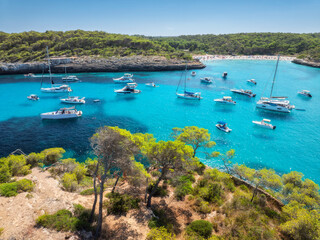 Aerial view of yachts anchored in turquoise sea bay surrounded by rocky coastline and pine trees,...