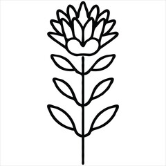 Elegant Black and White Protea Flower Illustration Simple Botanical Design for Print and Digital Projects Minimalist Floral Art