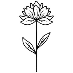 Elegant Single Flower Line Art Illustration Featuring Intricate Petal Details and Graceful Leaves on a White Backdrop for Simplicity