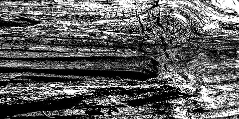 fotografía en blanco y negro de un tronco de madera donde se aprecian las fibras de madera