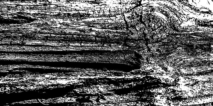 fotograf&iacute;a en blanco y negro de un tronco de madera donde se aprecian las fibras de madera