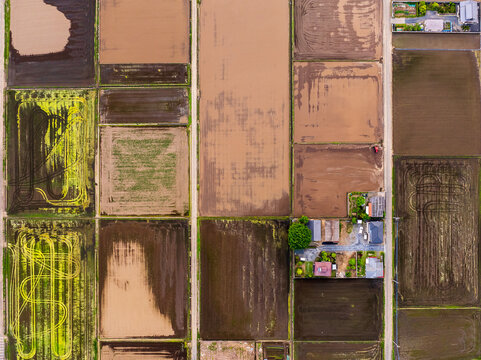 Aerial view of rectangular fields creating a patchwork of earthy browns, vibrant greens, and watery expanses, showcasing the agricultural landscape, Chikusei, Ibaraki, Japan.