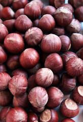 New harvest, Turkish hazelnut background. This image can be used horizontally or vertically.