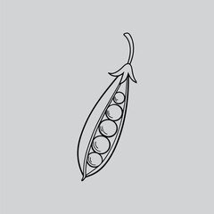 Sweet Pea Bellflower Decorative Line Drawing