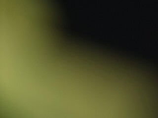 Gradient Noise Abstract Lime Green Background