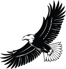 Black eagle soaring with outstretched wings bird flight