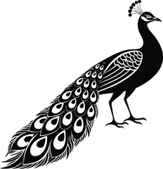 Elegant black peacock vector silhouette with detailed tail feathers icon