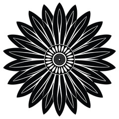 daisy   simple radial petals vector icon