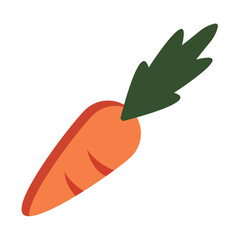 Fresh orange carrot with green top. Vector
