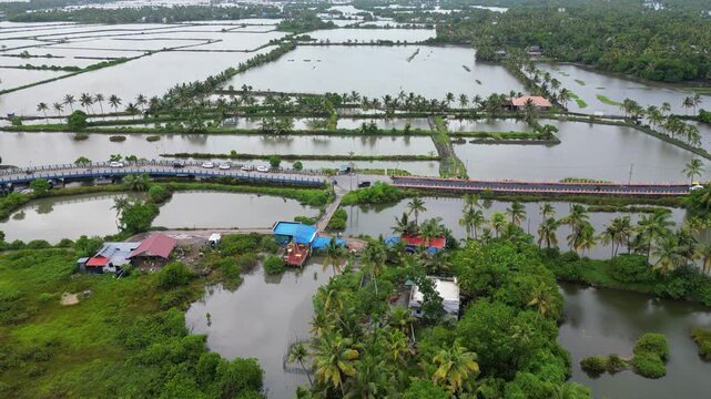 Scenic drone shot of Kadamakkudy near Kochi, showing tranquil backwaters, lush green islands, and narrow waterways. Captures the raw beauty of rural Kerala, ideal for nature, travel, and aerial landsc